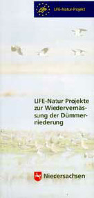 Life_Projekt_Klein.pdf