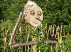 Naturgarten erleben