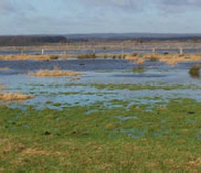 Osterfeiner Moor