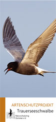 Trauerseeschwalbe_Flyer.pdf