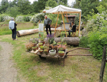 Naturgartentag 2016